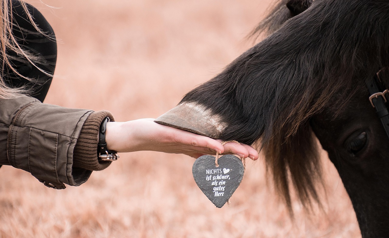 技术支持辅助是否导致了对游戏总体品质的降低