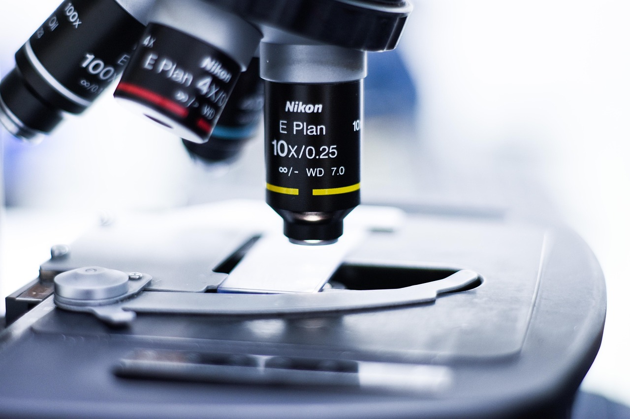 UDP攻击|starykids专辑购买平台