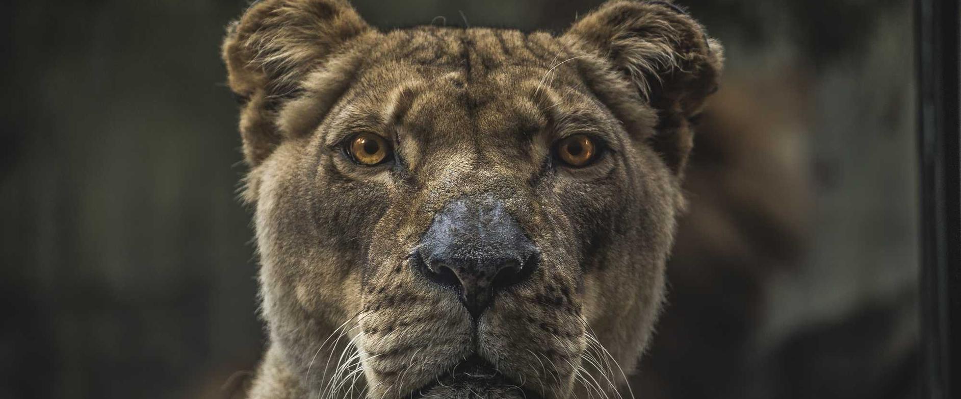 七牛云实名账号：福建采集app 详情下载教程