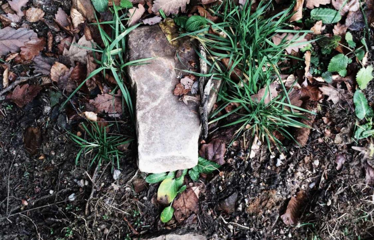 稳定的双语服务团队上家：东升开户平台