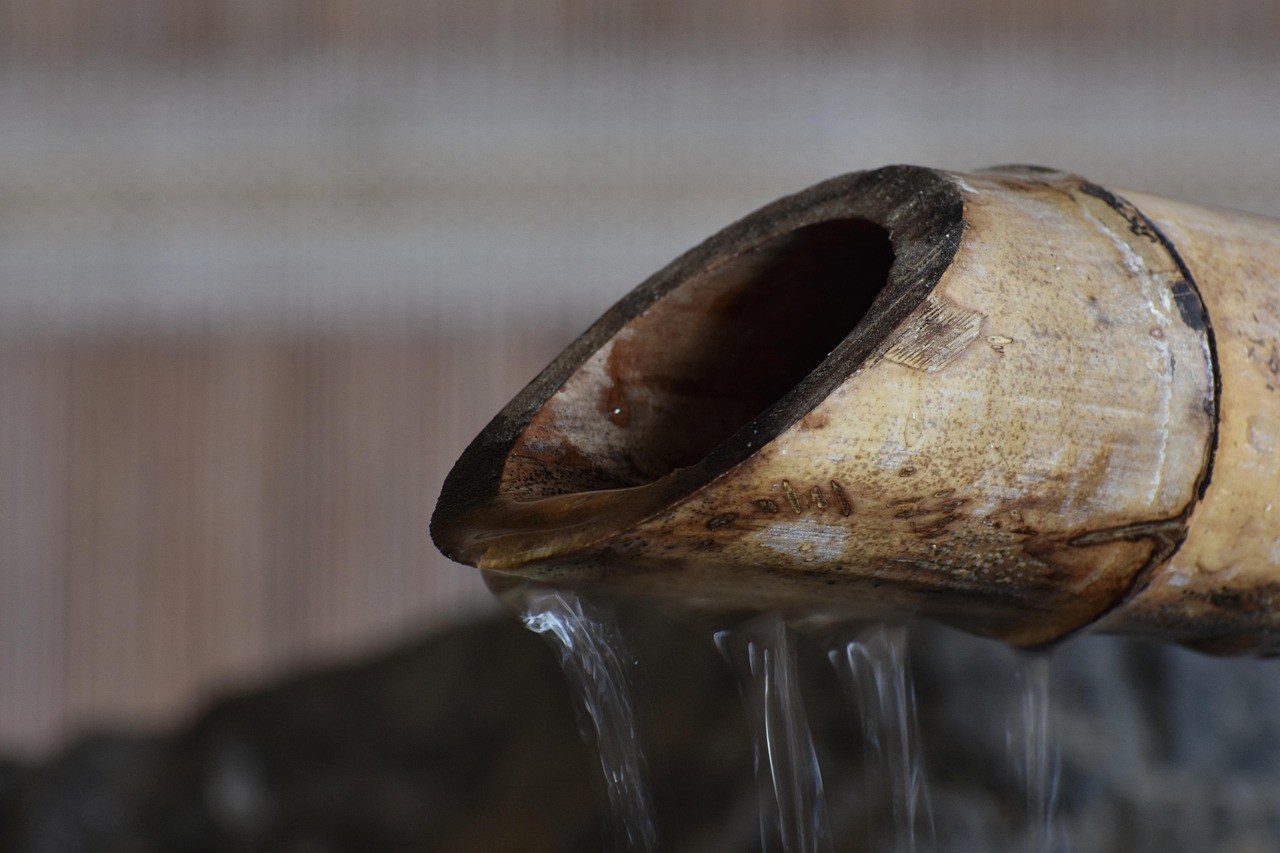 豪利时蓝莓爆珠：三邦车视app详情下载教程