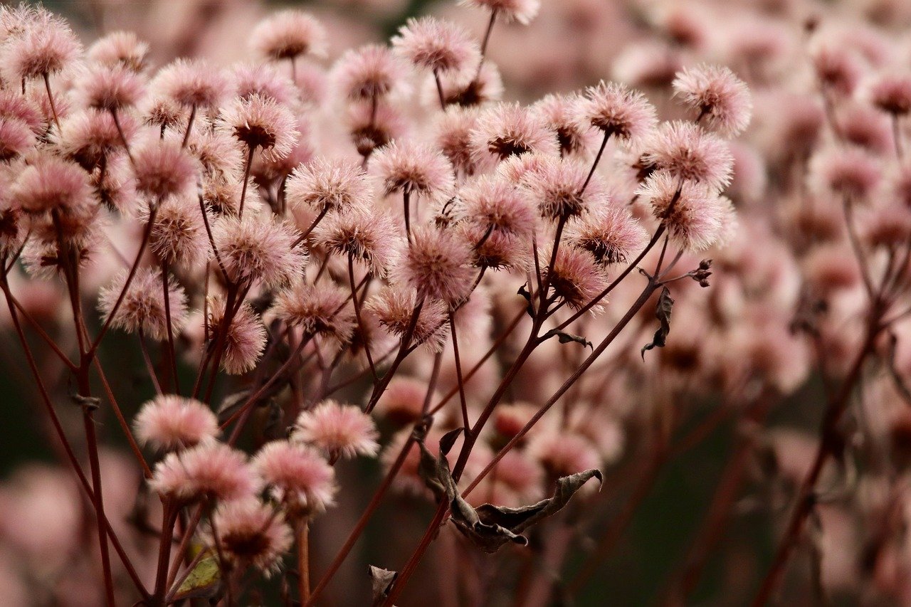 北碚工商注册代理