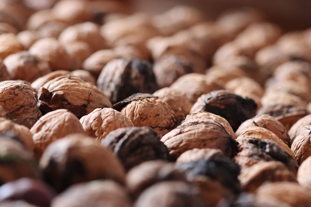 煊赫门：母婴服务平台代理